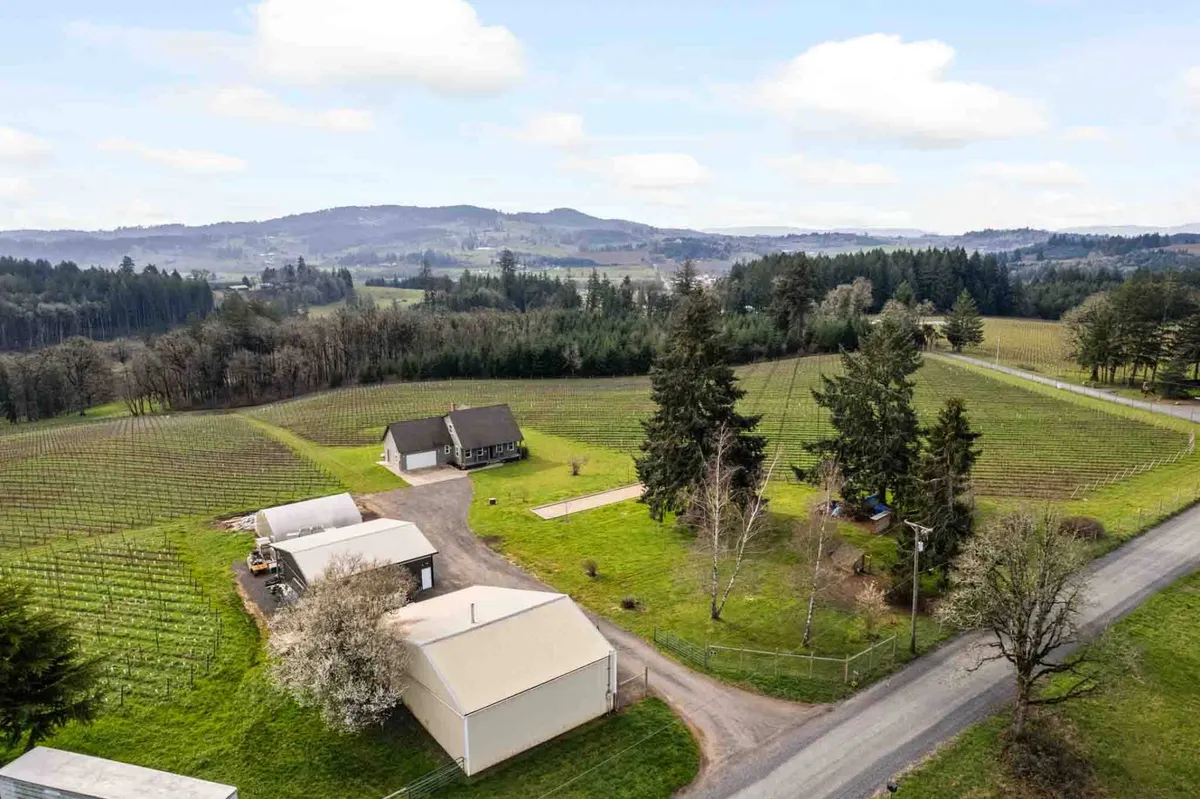 This image captures a tranquil scene of sprawling vineyards with the house nestled among trees and a country road winding through the landscape. The view emphasizes the direct connection to wine country, with endless vines and open sky conveying the immersive vineyard experience.