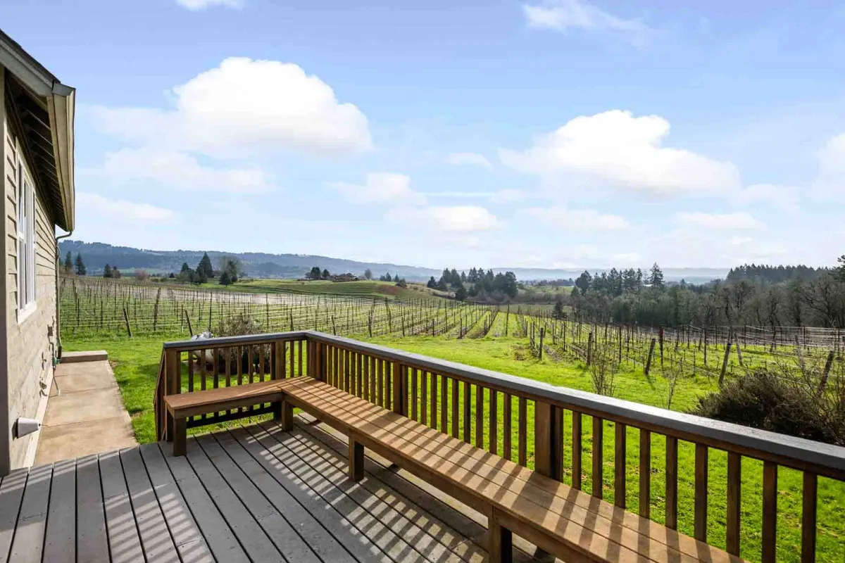 A wooden bench set on the edge of the vineyard, with rows of grapevines stretching out toward distant mountains. The scene is peaceful and inviting, ideal for quiet contemplation or sharing moments with friends while immersed in the picturesque wine country setting.