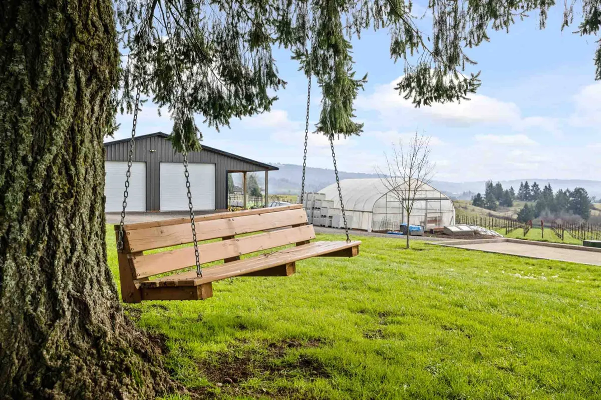 A peaceful garden scene with a wooden swing, lush green grass, a shed, and distant hills. The swing is inviting for both children and adults, and the open landscape invites exploration and quiet moments in nature.